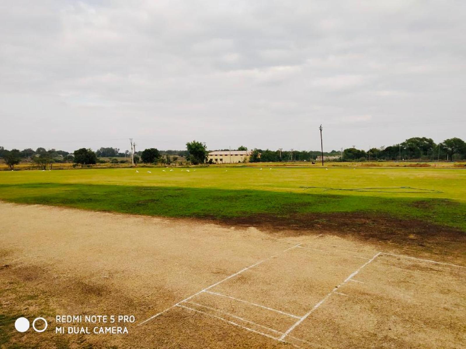 Green Cricket Ground 2 - GW Sports App